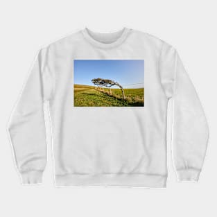 Windswept Tree Crewneck Sweatshirt